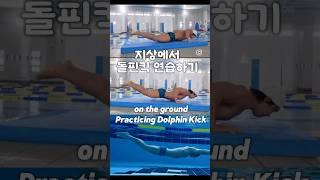 접영 돌핀킥 연습하기 practicing butterfly dolphin kicks #수영 #swim #butterfly