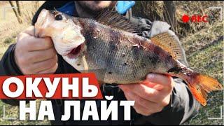 Ловля ОКУНЯ на ЛАЙТ! Рыбалка на водохранилище или КАК НАЙТИ ОКУНЯ?