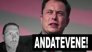 ELON MUSK CONTRO I GIUDICI DI ROMA: "DEVONO ANDARSENE"