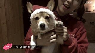 [점례 VLOG] 메리크리스마스! (부제:극한직업 은쌤친구점례)