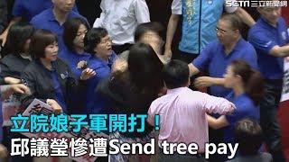 立院娘子軍格鬥！許淑華掌風搭十爪　襲擊邱議瑩｜三立新聞網SETN.com