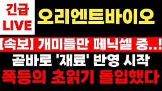 [오리엔트바이오]장 시작과 동시에 재료 반영 시작! 폭등의 초읽기 돌입했다! 개미들만 페닉셀?
