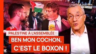 Palestine à l'Assemblée : ben mon cochon, c'est le boxon !