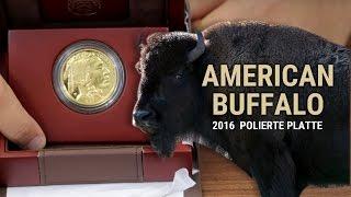 GOLDMÜNZE - American Buffalo - Polierte Platte - 1 Unze Gold - 2016 - Limitiert, Etui, Zertifikat