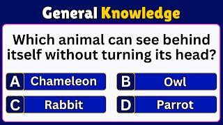 General Knowledge Quiz | Trivia Quiz | Mixed Trivia | GK | English | Facts Quiz | Quiz | Pub Quiz