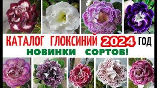 КАТАЛОГ  ГЛОКСИНИЙ   2024 год