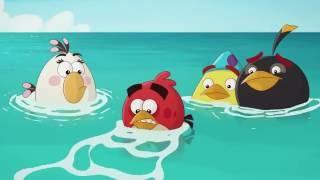 Злые птички Angry Birds Toons 2 сезон 5 серия Плыви или тони все серии подряд