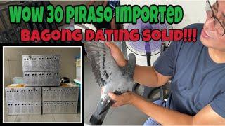 30 PIRASO IMPORTED GALING BELGIUM PINARATING NG BETERANONG FANCIER |Reggie Cruz Loft & Aviary