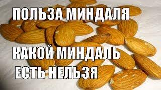 МИНДАЛЬ ПОЛЕЗНЫЕ СВОЙСТВА ПОЛЬЗА МИНДАЛЯ