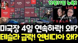 미국주식시황/오늘 왜 떨어졌나? 테슬라 급락! 엔비디아 하락! 왜?구글 애플 아마존 메타 마이크로소프트 팔란티어 아이온큐 SMCI 브로드컴 LLY 노보 인텔 $tsla #tesla