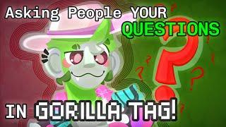 Asking Monkes YOUR Questions in GORILLA TAG!