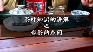 茶葉知識的講解之茶友對岩茶一些疑惑