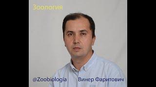 Зоо 04 Тип Саркожгутиковые