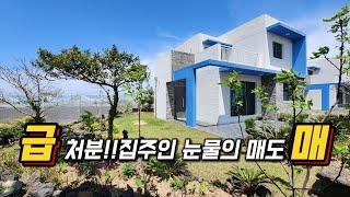 제주도 부동산 급매. 주택 소유주분 급처분 제주도에서 계속 살고 싶은데 어쩔 수 없이 떠납니다 판포포구 인근 가성비 좋은 2억대 단독주택 매매, 철근 콘크리트 구조
