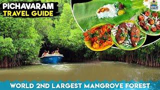 உலகின் இரண்டாவது பெரிய சதுப்புநில காடு | pichavaram chidambaram | pichavaram budget trip  #boating