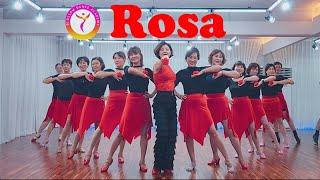 [중급] Rosa- Line dance  #블라썸라인댄스 #라인댄스퀸코리아부천지부