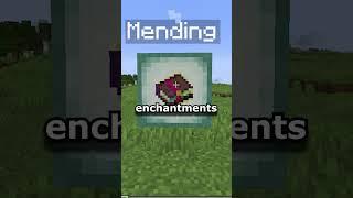 The NEW Minecraft Enchanted Books | xali's Enchanted Books