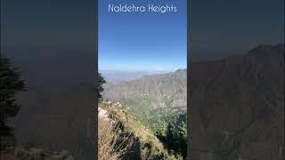 Naldehra Heights Shimla | Places near to Leisure Nest Hospitality #shorts