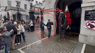 “Unbelievable: What Happens When a Woman and Boy Ask to Touch the Horse