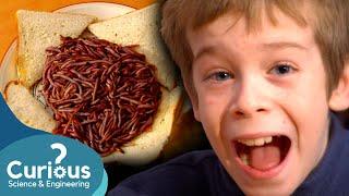 Can Eating Worms Cure Asthma? | ExperiMental | Curious? Science & Engineering