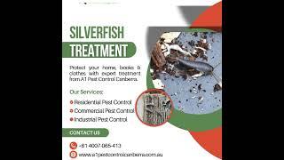 Silverfish treatment services with A1 Pest Control Canberra