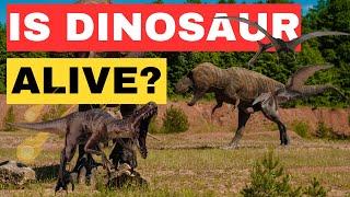 What Killed The Dinosaurs? The Fall Of Dinosaurs: How An Asteroid Ended Their Reign