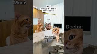 CAT MEMES Going to the doctor with your mom #catmemes #relatable #relationship