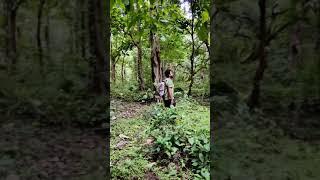 Yercaud Adivaram Mini vlog #shorts