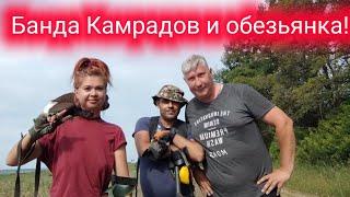 Банда Камрадов с обезьянкой Алексой в поисках монет и старины!