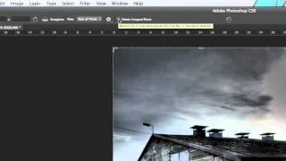 Photoshop: How to Crop an image (TUTORIAL)