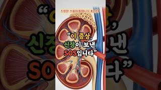 "신장은 조용히 말합니다. Ep.01" #신장질환 #소변거품 #부종 #건강관리 #중년건강 #내과전문의 #신장경고 #건강습관 #행복한노화 #tycm