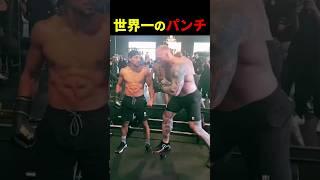 世界最強のパンチ 【世界の筋肉】