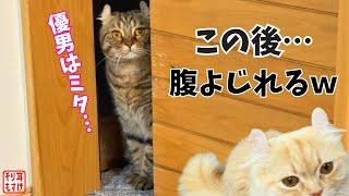 浮気を目撃してショックの男がヤケクソの行動に出て大笑い