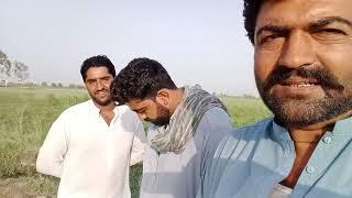 Main Hun Javed bhai YouTube wala️️️️️️