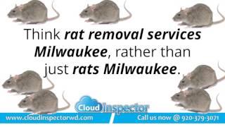 Pest Control SEO | SEO for Pest Control Experts | Cloud Inspector Web Design