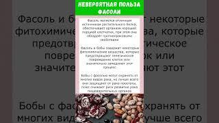 ТЕПЕРЬ Я ЕМ ФАСОЛЬ РЕГУЛЯРНО | Невероятная Польза Фacоли