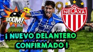 ¡ CONFIRMADO TOMÁS BADALONI ES NUEVO REFUERZO DE LOS RAYOS DE NECAXA PARA EL APERTURA 2024 !