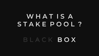 What is a Cardano Stake Pool? - Black Box Stake Pool [BLKBX]