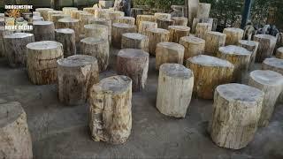 Petrified Wood Factory Java Indonesia #petrifiedwood #factory #java #indonesia