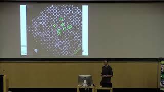 In situ structure determination using Cryo-FIB-SEM, CryoET and subtomogram averaging