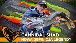  #CannibalShad  nowa wersja legendarnej gumy #Cannibal  // #SavageGear