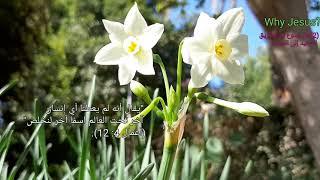 64.(2)Question: Is Jesus the only way to heaven?(هل يسوع هو الطريق الوحيد إلى الجنة؟)