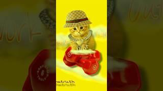 Ljaythatruth - Work Out  #kitten