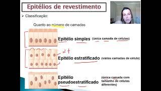 Tecidos humanos - parte 1 (introdução + tecido epitelial)
