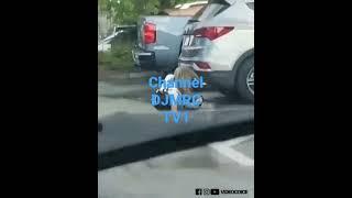 Channel ĐMJRC be like