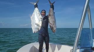 Miami Deep Freediving SpearFishing