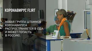 Коронавирус FLiRT