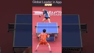 Backhand Topspin Attack with Dignics 09c by Batterfly  #pingpong  #tenisdemesa  #bestpoint 