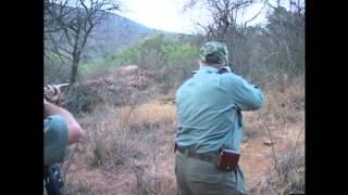 Exposing a Rhino Hunt