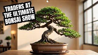 Trophy Ginkgo Pot up and Traders of the GENK Trophy Bonsai 2025: The Ultimate Bonsai Showcase